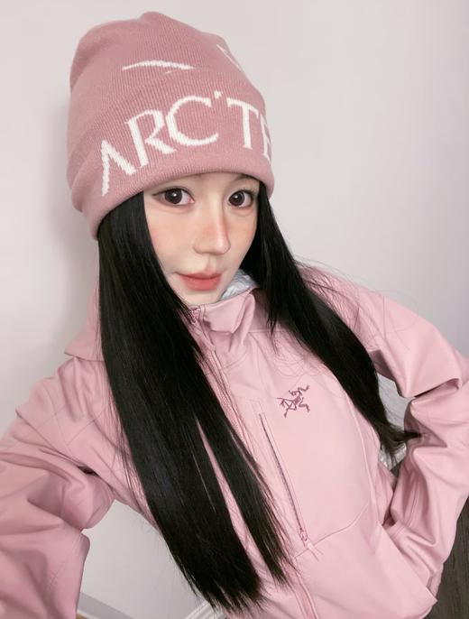 始祖鸟 Gamma mx Hoody女软壳加绒 商品图2