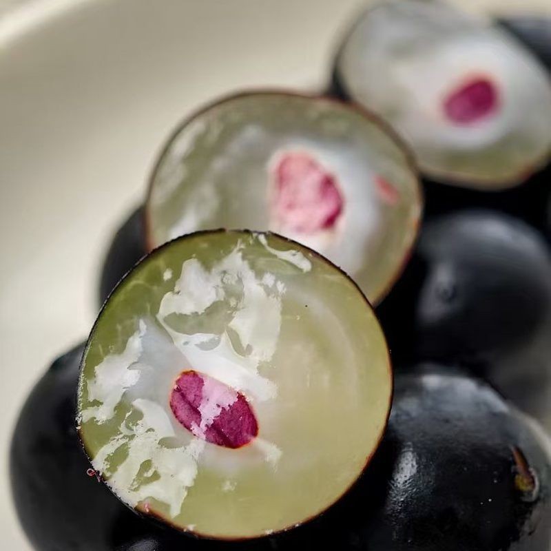 “黑珍珠”——嘉宝果（树葡萄）