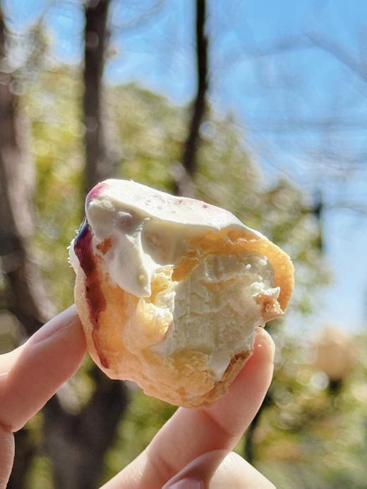 奶盖黄油小泡芙（纯法国动物奶油） 商品图1