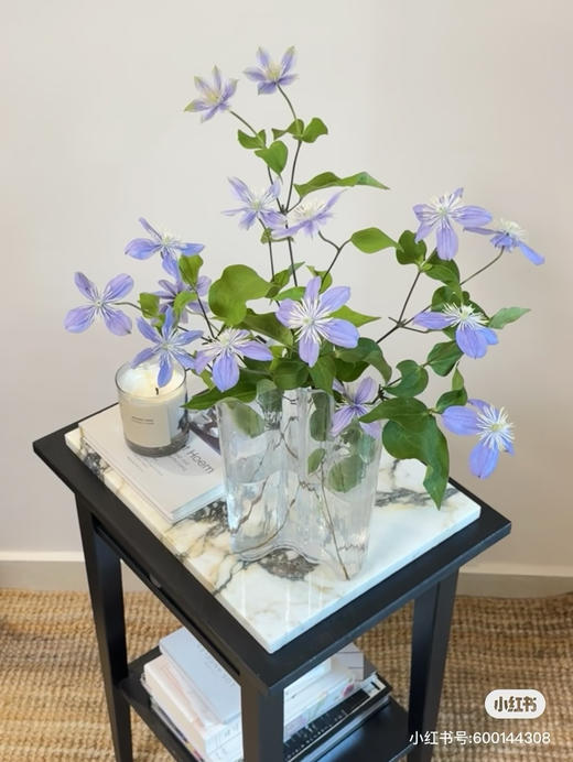 铁线莲浅紫小花 商品图1