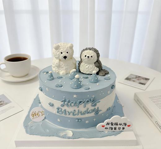 小白熊小猫咪喵星人小动物(可改)卡通蛋糕-低糖处理无添加 商品图4