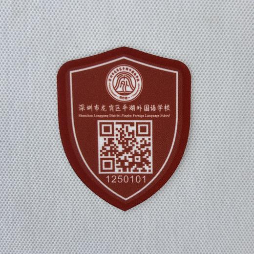 定制深圳市龙岗区平湖外国语学校校徽臂章款姓名贴徽章熨烫包邮51 商品图0