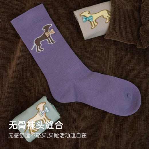 靴下物无骨袜子女中筒袜春秋款棉袜舒适日系ins潮长袜配德训鞋 商品图1