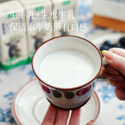 【3月20日最新生产日期，保质期6个月，全家一起喝建议囤2份】【99元4箱】【补充优质乳蛋白 水牛奶】丝滑醇厚 ~ 商品图2