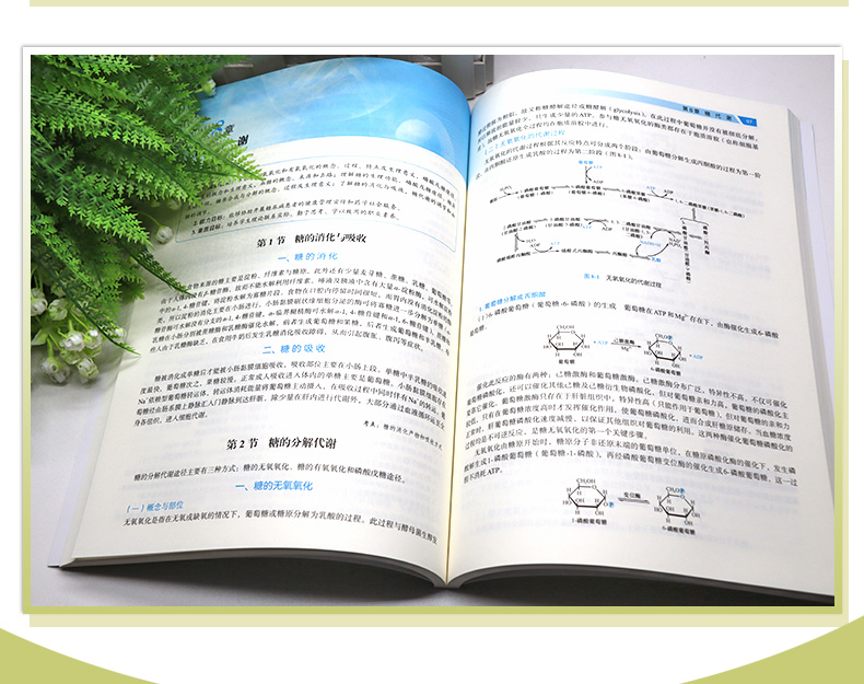 教材02_05.jpg