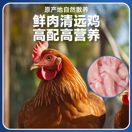 雷米高中科活力泰活力清敏全价猫粮抗猫毛过敏缓解猫咪低敏抗过敏猫粮 商品图3