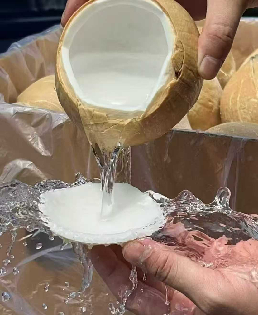 泰国椰皇 一箱9个