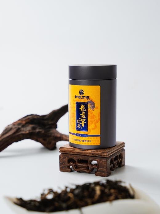 3月30日中午12点【龙盘箐】2025年轩辕古树龙盘箐晒红，高端晒红代表，75克/罐 商品图3