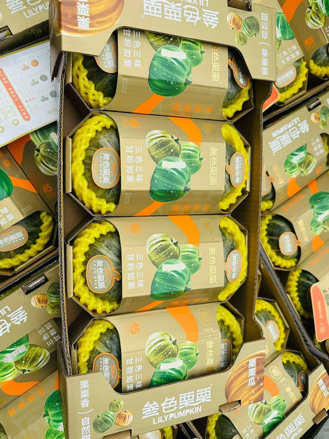 那园子叁色栗栗贝贝南瓜