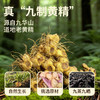 非遗古法九蒸九晒熟制黄精日常养生开袋即食软糯香甜 商品缩略图4