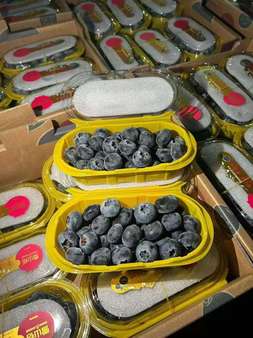 雪山恬云南脆甜蓝莓22+ 商品图0