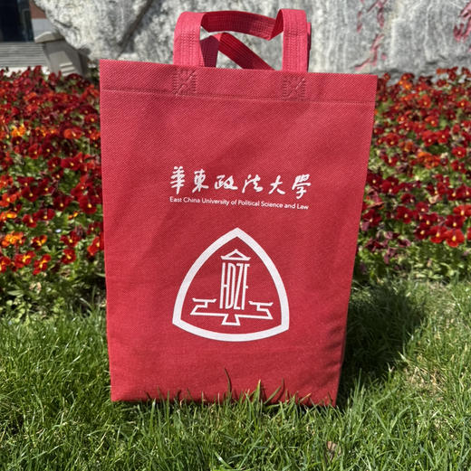 无纺布袋 商品图0