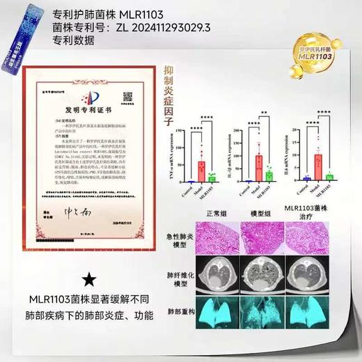 智膳存 益生菌冻干粉活菌粉 成人益生菌 商品图2