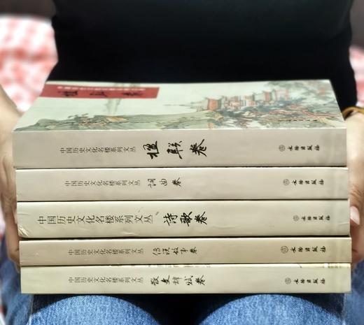 【1.6折】《中国历史文化名楼系列文丛》，16开，平装，全5册，黄二良等主编，文物出版社2017年一版一印，总页数：2477页，定价612元，售价：99元。 商品图1