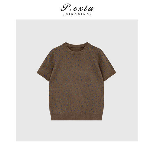 03-5潘依绣丁丁宠粉甜美复古碎花软糯针织短袖毛衣Q16482 商品图0