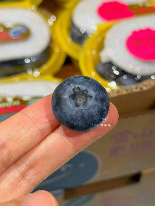 雪山恬云南脆甜蓝莓22+ 商品图10