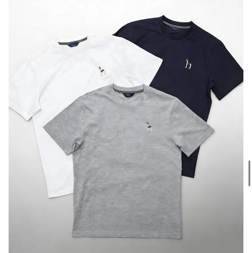 威海2026最新款！三色，官网刚刚上，咱们同步发售HAZZYS春夏新款基础款T恤 男士简约短袖  dog短袖 商品图0