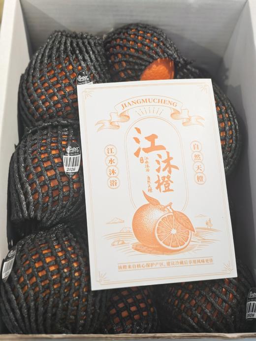 江沐橙 商品图1