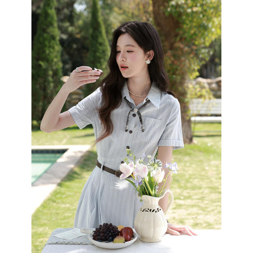 鹿向南【0331/20:00新品前1小时5折限100件】蓝条通勤短袖连衣裙 商品图1