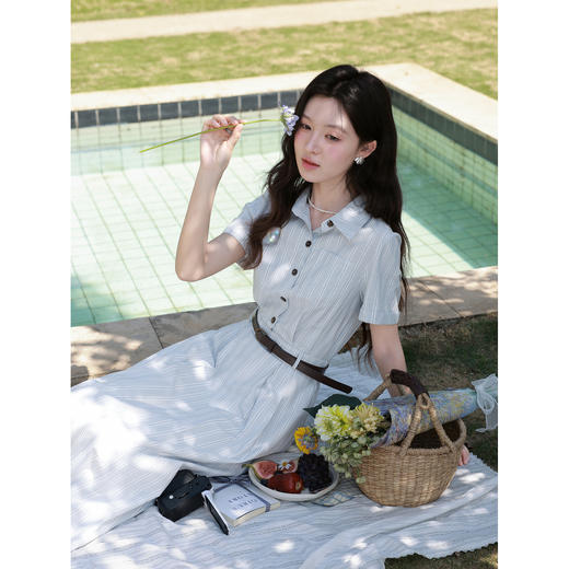 鹿向南【0331/20:00新品前1小时5折限100件】蓝条通勤短袖连衣裙 商品图4