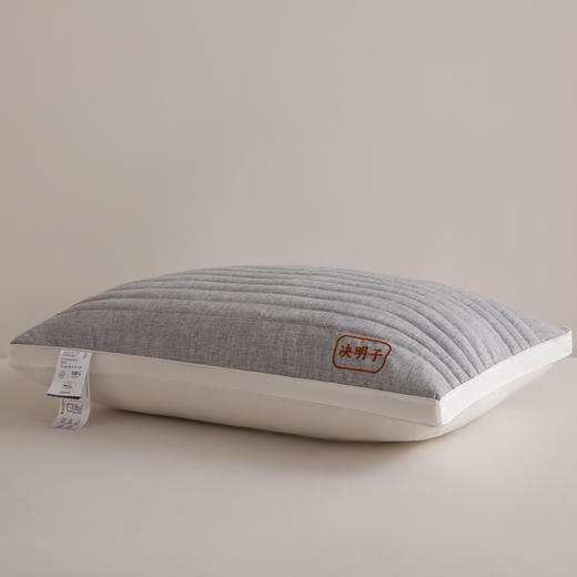 南方生活全棉磨毛决明子草本枕 商品图2