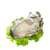 精选生蚝（袋）约3.6斤 商品缩略图1