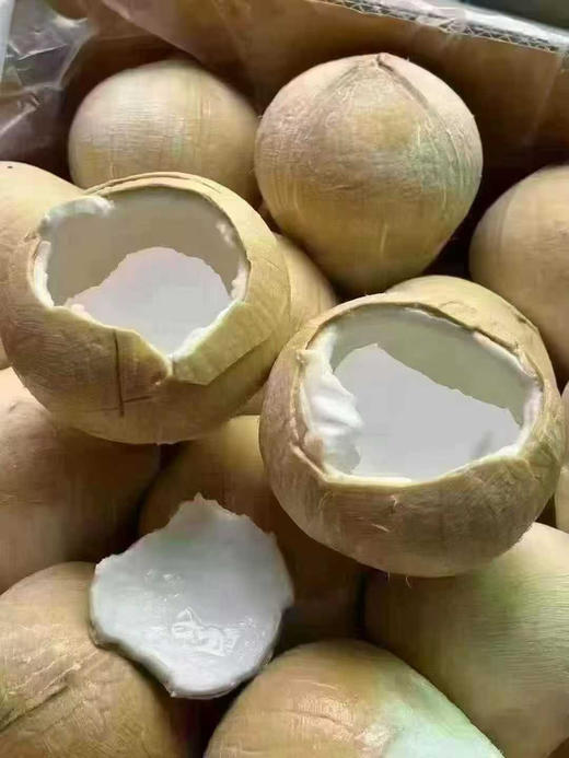 泰国椰皇 一箱9个 商品图11