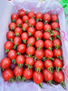 超好吃小红帽千禧小番茄 商品缩略图3