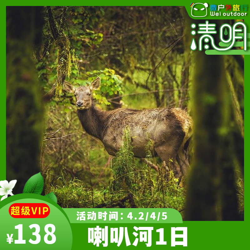 【轻徒丨喇叭河1日】（4.5/11/18）成都周边的奈良公园，颜值不输北欧