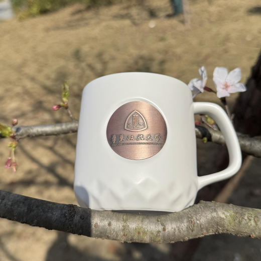 华政校金属校徽马克杯 商品图1