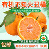 包邮【厂商直发】四川浦江有机不知火丑橘 中大果5斤/8斤 甜蜜多汁 商品缩略图11