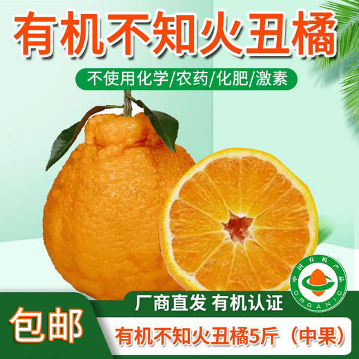 包邮【厂商直发】四川浦江有机不知火丑橘 中大果5斤/8斤 甜蜜多汁 商品图13