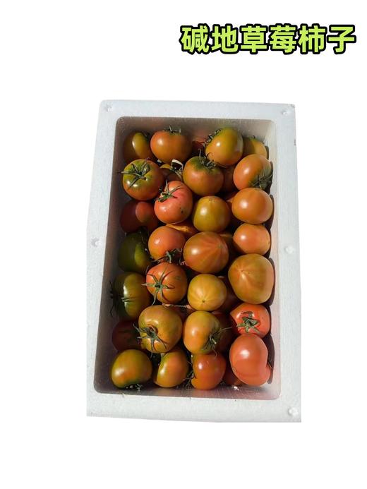碱地草莓柿子 商品图0