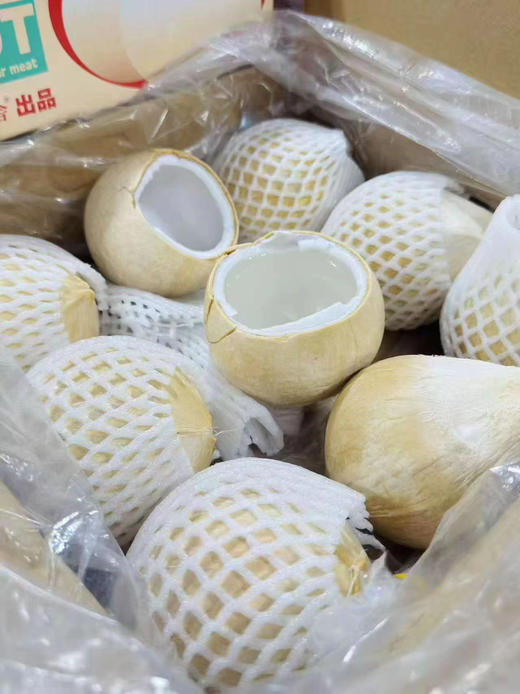 泰国椰皇 一箱9个 商品图10