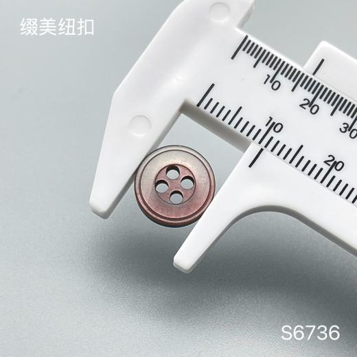 S6736(整包购买) 商品图4