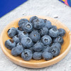 【京东空运】山东花香蓝莓 125g/盒 商品缩略图5