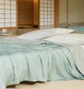 山姆新品‼️‼️Membr‘s Mark桑蚕长丝夏被  200cm*230cm适用于1.5M1.8M床 商品缩略图5
