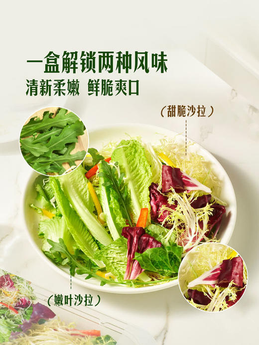 MM 山姆 轻享双拼沙拉 400g 商品图1