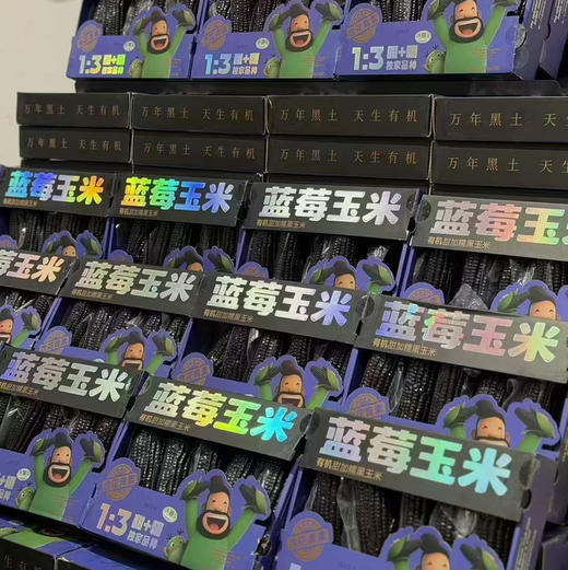 蓝莓黑玉米🌽2.3斤（5根）口感好 需要蒸煮后吃 商品图2