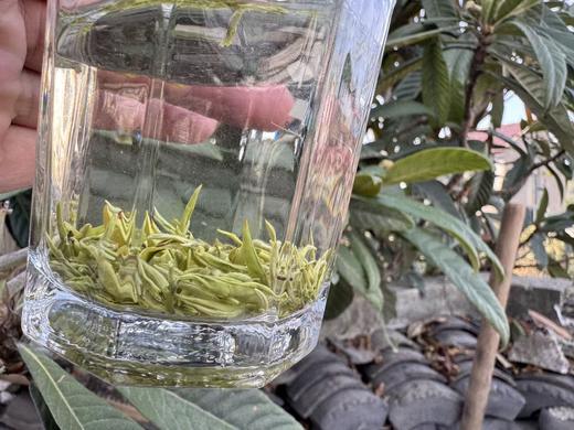 2026春  [头采芽尖] 正宗小叶种碧螺春 （西山·洞庭山）100克起 商品图2