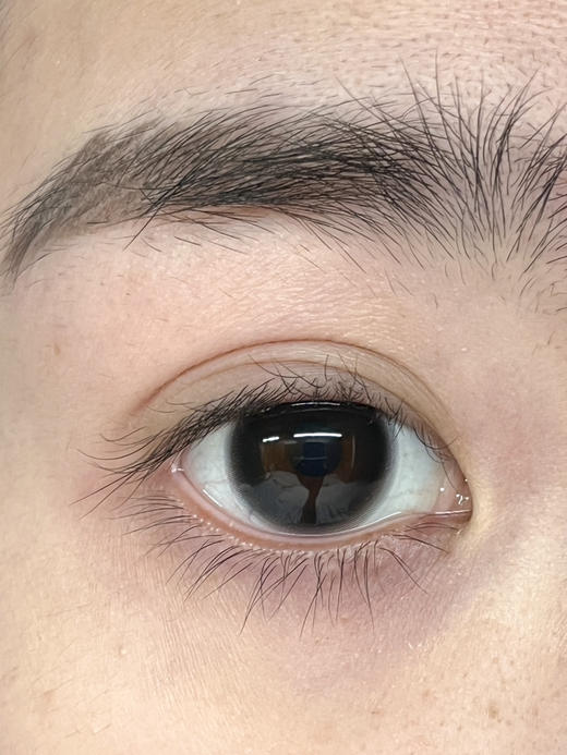 【大直径日抛】黑糖肉包·Laseecon丨14.5mm（日抛/一盒10片装） 商品图2