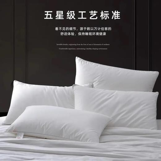 日单🇯🇵【凤栖良川】五星级酒店羽丝绒全棉贡缎枕芯 商品图1