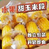 【从鲜开始❗️水果玉米段】免煮开袋即食，清甜多汁口感脆嫩，汁水超多膳食纤维，整箱 20 袋便携装，真空包装玉米学生宿舍零食早餐代餐家用QQ 商品缩略图2