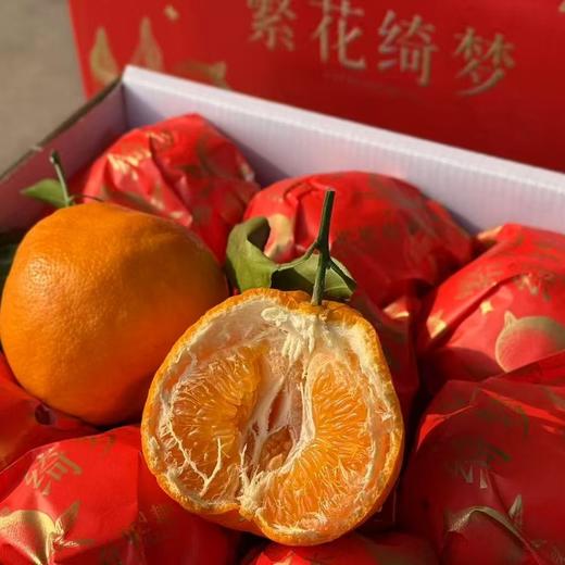 春见耙耙柑【净重约7～7.5斤】 商品图0
