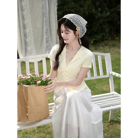 鹿向南「花野漫夏」高级感杏色短袖T恤女夏季新款减龄V领蕾丝上衣