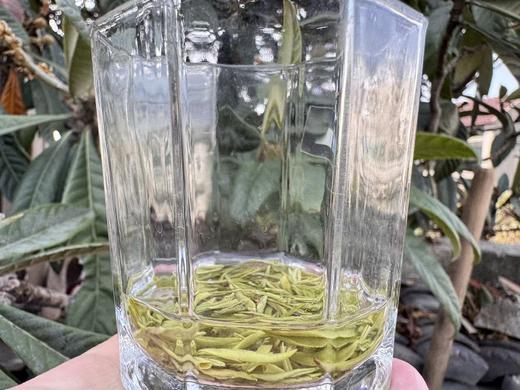 2026春  [头采芽尖] 正宗小叶种碧螺春 （西山·洞庭山）100克起 商品图4