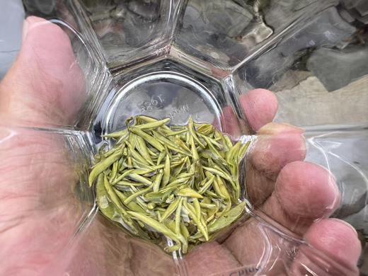 2026春  [头采芽尖] 正宗小叶种碧螺春 （西山·洞庭山）100克起 商品图5