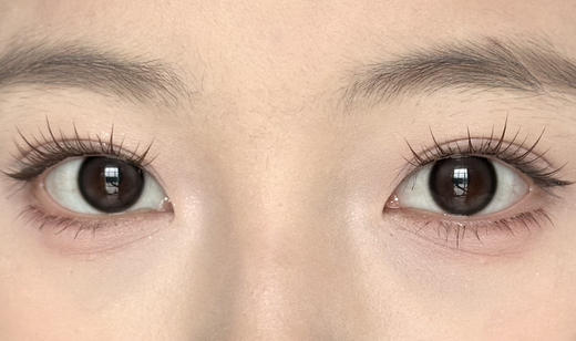 【日抛】小黑猪·Laseecon丨14.2mm（日抛/一盒10片装） 商品图6