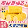 【从鲜开始❗️水果玉米段】免煮开袋即食，清甜多汁口感脆嫩，汁水超多膳食纤维，整箱 20 袋便携装，真空包装玉米学生宿舍零食早餐代餐家用QQ 商品缩略图4