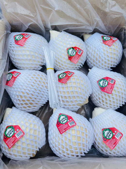 泰国椰皇 一箱9个 商品图13